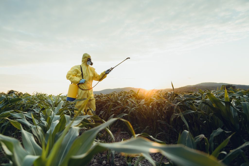 Insecticides : Maîtriser le choix, l&rsquo;application et la sécurité pour des interventions efficaces