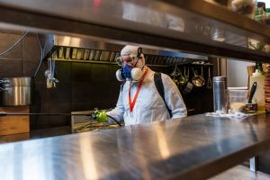 Lire la suite à propos de l’article Dératisation obligatoire pour les restaurants : ce que vous devez savoir