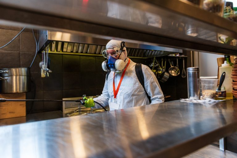 Dératisation obligatoire pour les restaurants : ce que vous devez savoir
